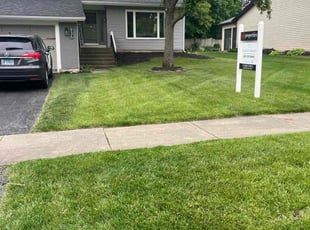 Jerel T.'s lawn care services service result