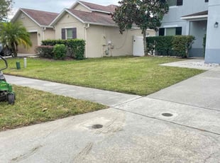 Daphane S.'s grass maintenance service result