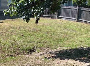 Eric P.'s grass maintenance service result