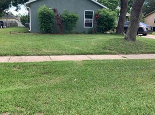 Harmon J.'s lawn care service result