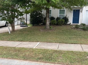 ADLAI C.'s lawn maintenance service result