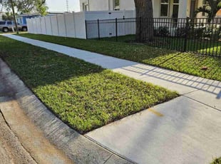 falaria p.'s lawn care service result