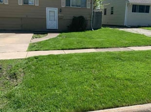 Jack N.'s lawn service service result