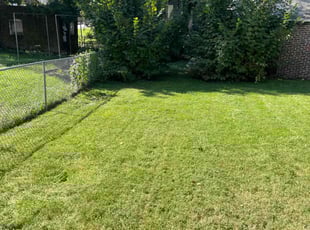 Jeremy H.'s lawn care service result