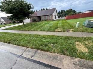 Randy S.'s lawn service service result