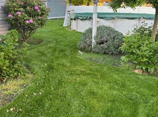 Bruce W.'s lawn service service result