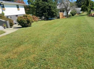 Walter E.'s grass maintenance service result