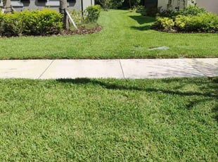 Marcie D.'s lawn care services service result