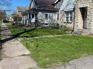 J S.'s turf maintenance service result