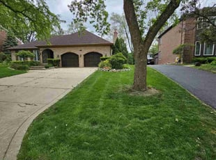 Priscilla M.'s lawn service service result