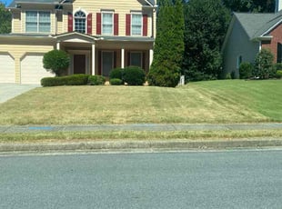 Leshandra M.'s turf care service result