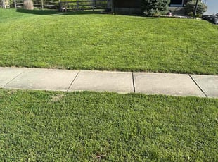 Megan P.'s grass cutting service result