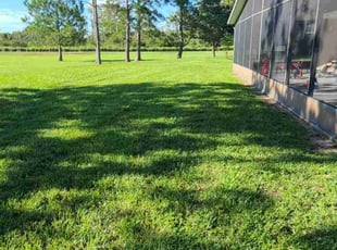 Minga O.'s grass cutting service result