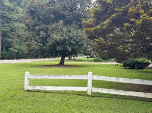 Robert E.'s grass maintenance service result