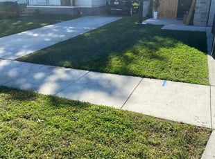 Keiko C.'s lawn care services service result