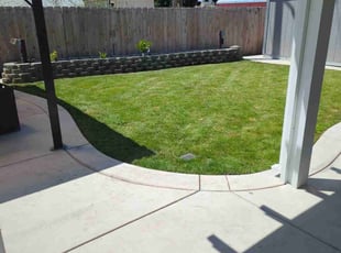 Alice C.'s turf care service result