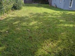 Todd G.'s lawn care services service result