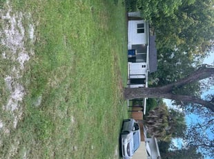 Maria S.'s grass cutting service result