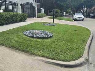 Brianna D.'s lawn care service result