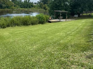 Lou S.'s grass maintenance service result