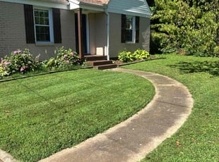 Stephanie A.'s grass maintenance service result