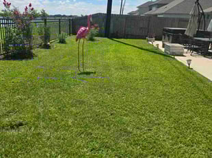 Jennifer C.'s landscape maintenance service result