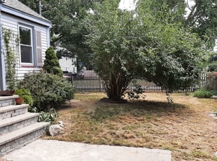 Huda M.'s Bush Trimming service result