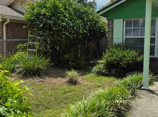 Kathleen B.'s Bush Trimming service result