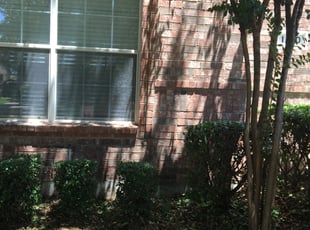 Heather P.'s Bush Trimming service result