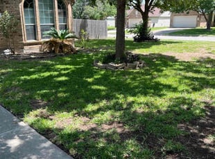 James V.'s turf maintenance service result