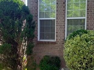 Taren M.'s Bush Trimming service result