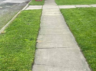 Daniel C.'s lawn care services service result