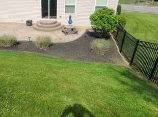 Robert O.'s grass maintenance service result