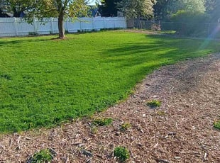 Charis P.'s lawn care services service result