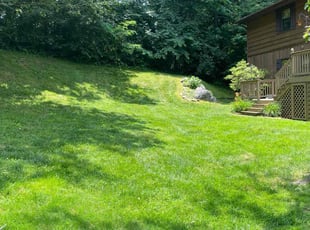 Lee C.'s lawn care services service result