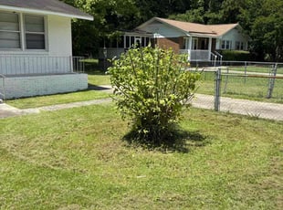 Theresa I.'s Bush Trimming service result
