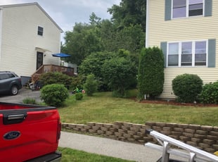 Angela S.'s Bush Trimming service result