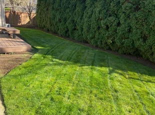 Susan J.'s lawn care services service result