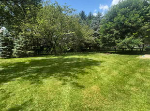 Collin R.'s yard maintenance service result