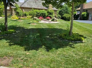 Jennifer H.'s turf care service result