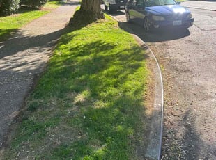 Christopher R.'s grass maintenance service result