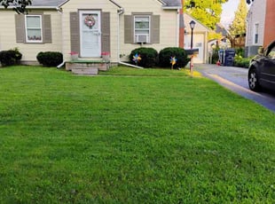 Heather M.'s lawn maintenance service result