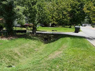 Philip M.'s lawn maintenance service result