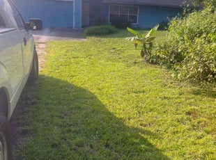 Amy R.'s turf care service result