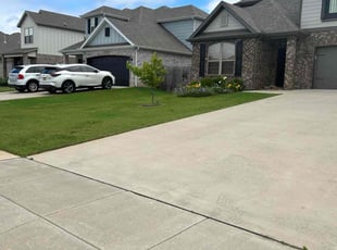 Beatrice B.'s lawn service service result