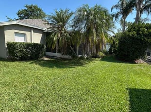 Alan S.'s Bush Trimming service result