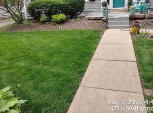 Sean J.'s lawn service service result