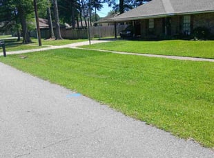 Shane E.'s lawn service service result
