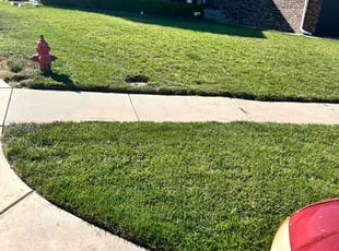 Henry P.'s lawn care services service result