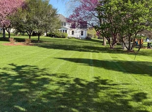 Karin D.'s grass cutting service result